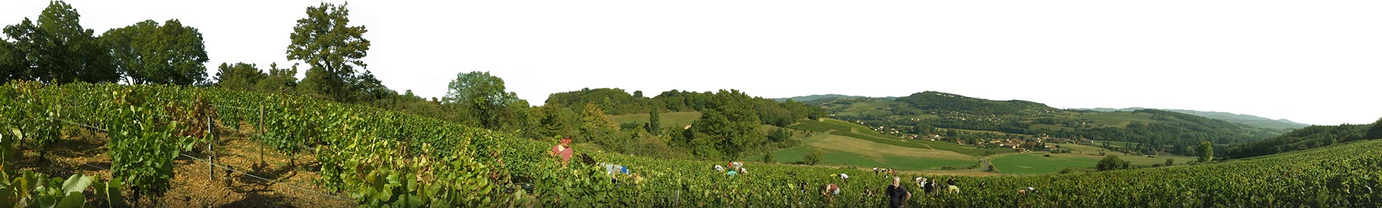 Photo du Domaine Chasselay, vins du Beaujolais