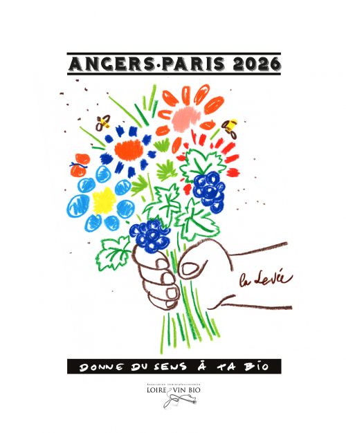 La Levée de la Loire- Angers